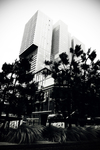 风景