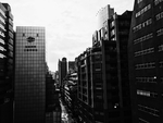 风景