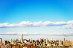 风景