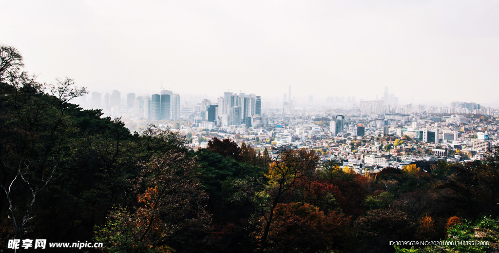 风景