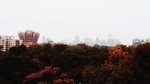 都市风景