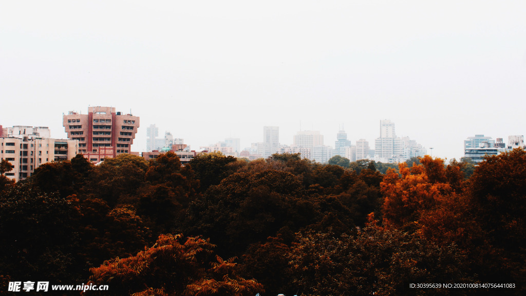 都市风景