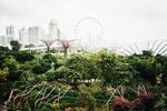 都市风景