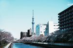 都市风景