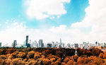 都市风景