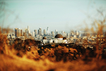 都市风景