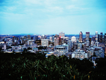 都市风景