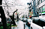 都市风景