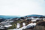 都市风景