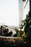 都市风景