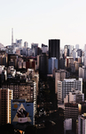 都市风景