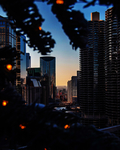 都市风景