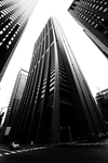 都市风景