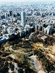 都市风景