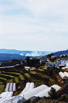 都市风景