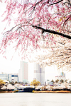 都市风景