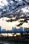 都市风景