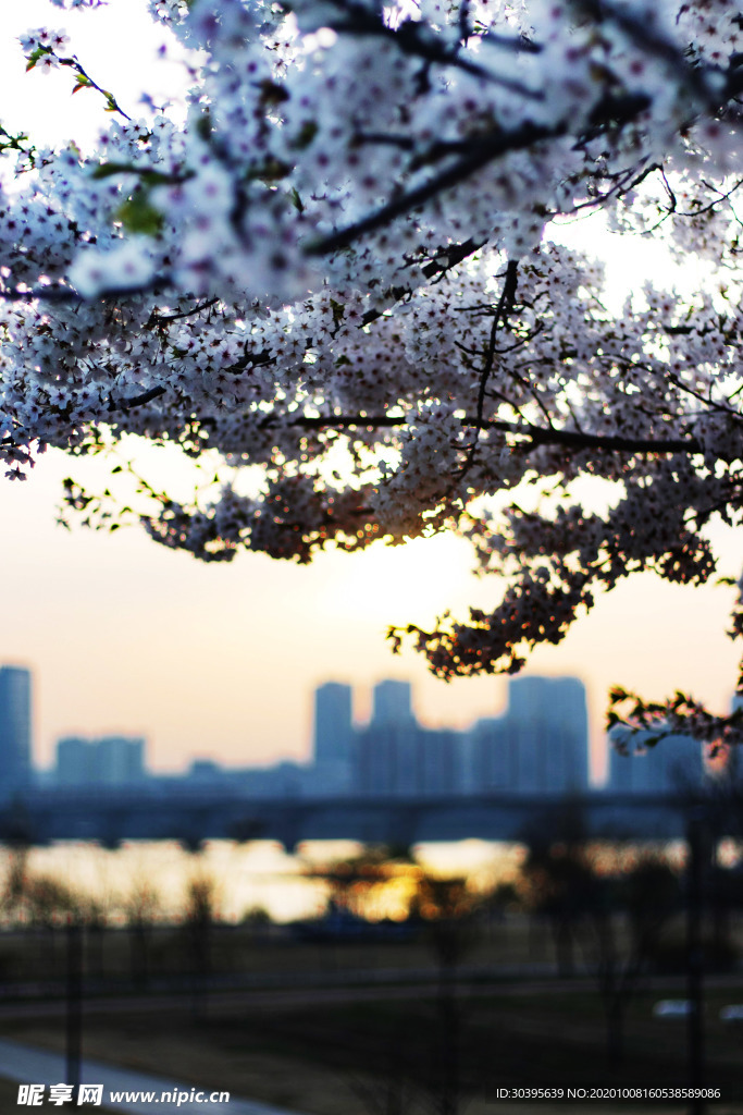 都市风景