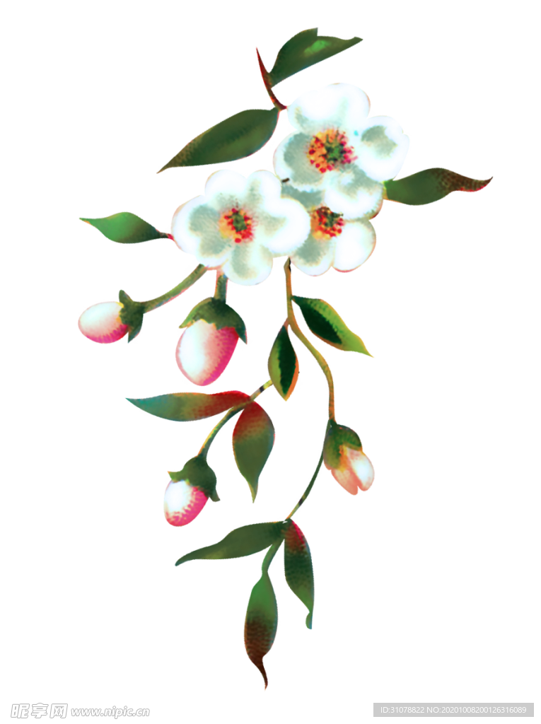 欧式复古花朵装饰
