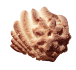 食物点心曲奇