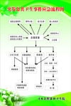 突发公共卫生流程图