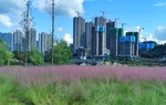 塔坨湿地公园