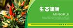 蔬菜海报 蔬菜挂图 蔬菜促销