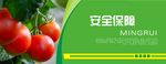 蔬菜海报 蔬菜挂图 蔬菜促销