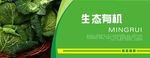 蔬菜海报 蔬菜挂图 蔬菜促销