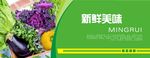 蔬菜海报 蔬菜挂图 蔬菜促销