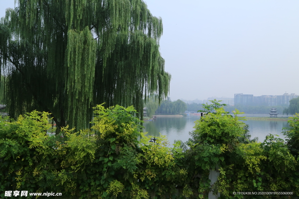 园林风景