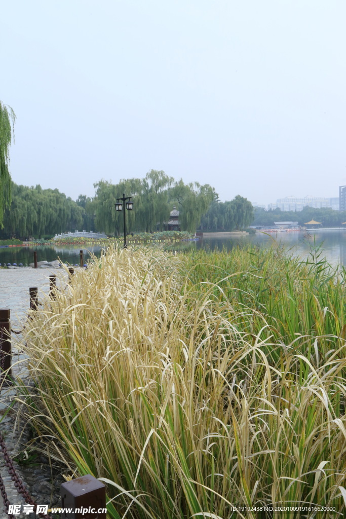 园林风景