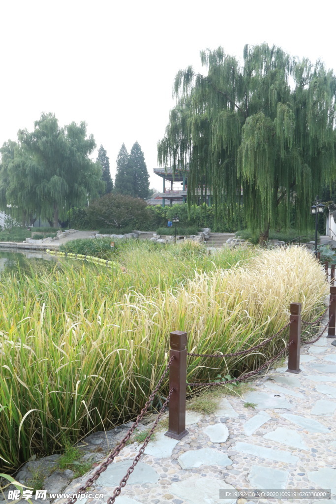 园林风景