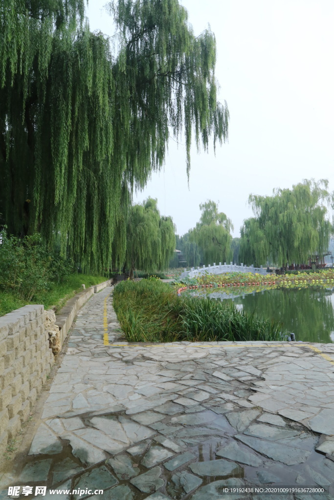 园林风景