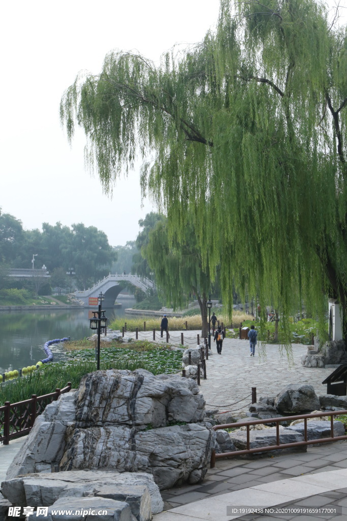园林风景