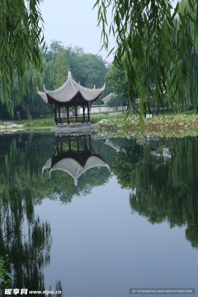 园林风景