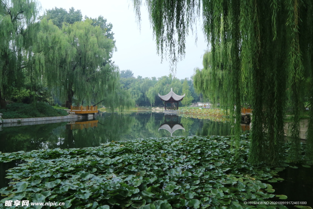园林风景
