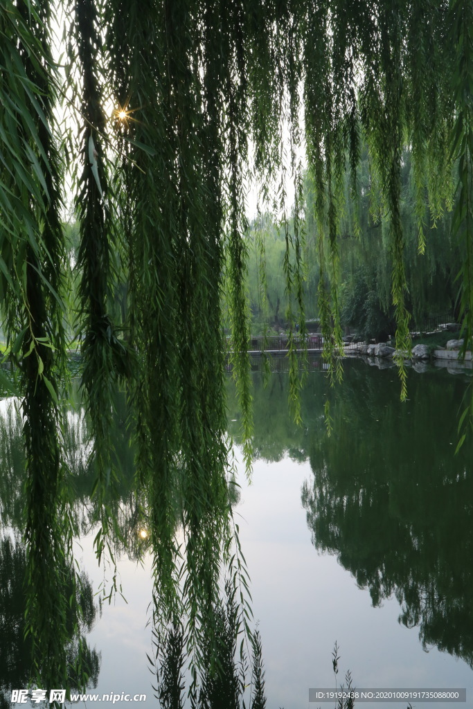 园林风景