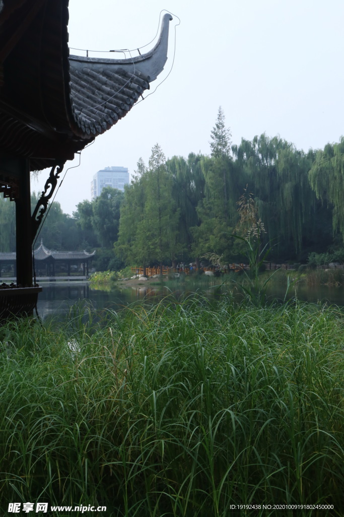园林风景