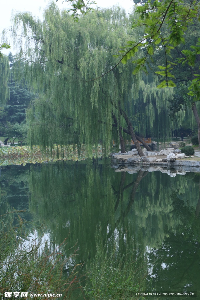 园林风景