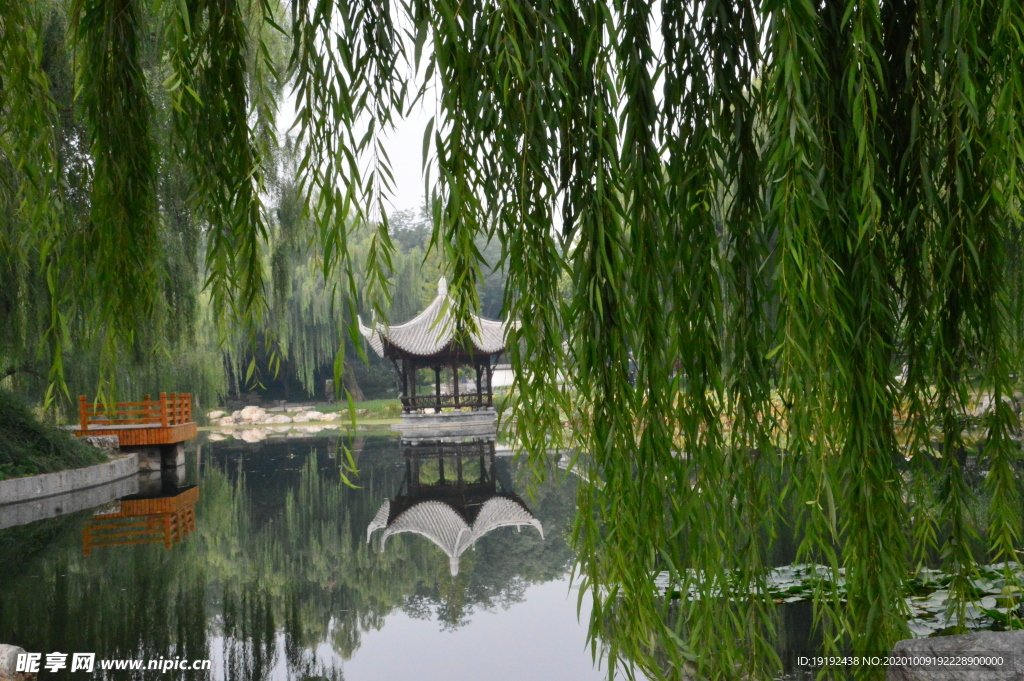 园林风景