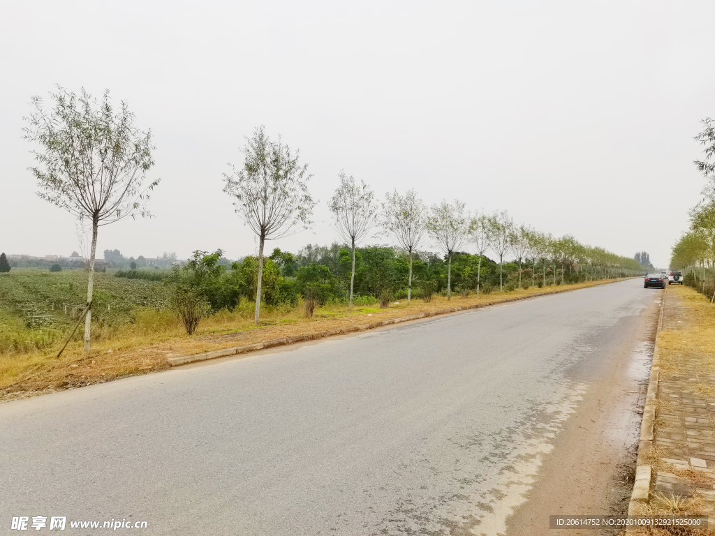 乡村道路风景