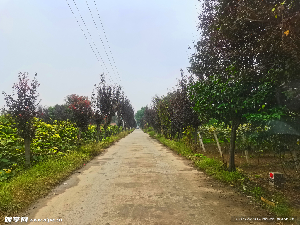 美丽的乡村道路风景