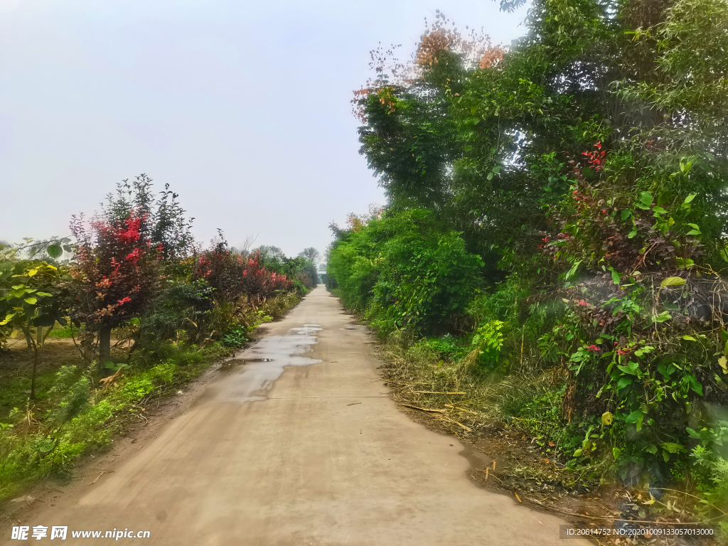 美丽的乡村道路风景