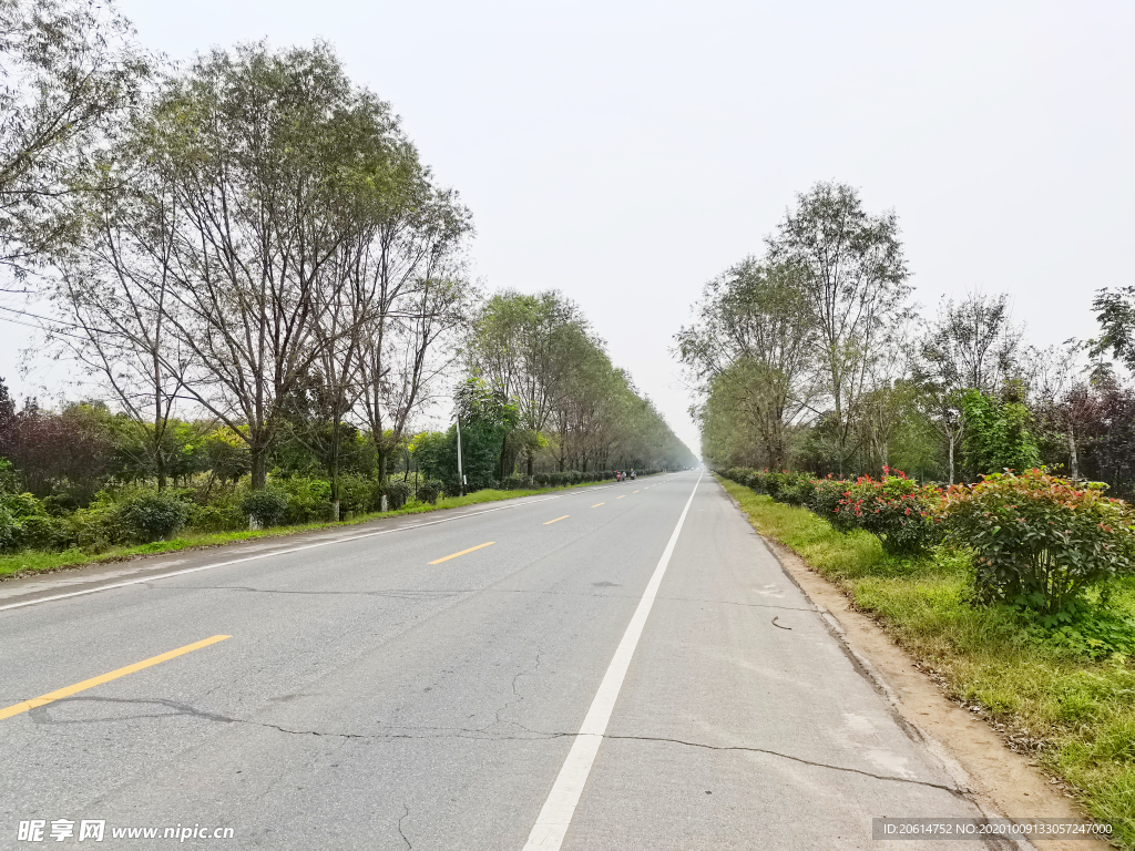 乡村道路风景