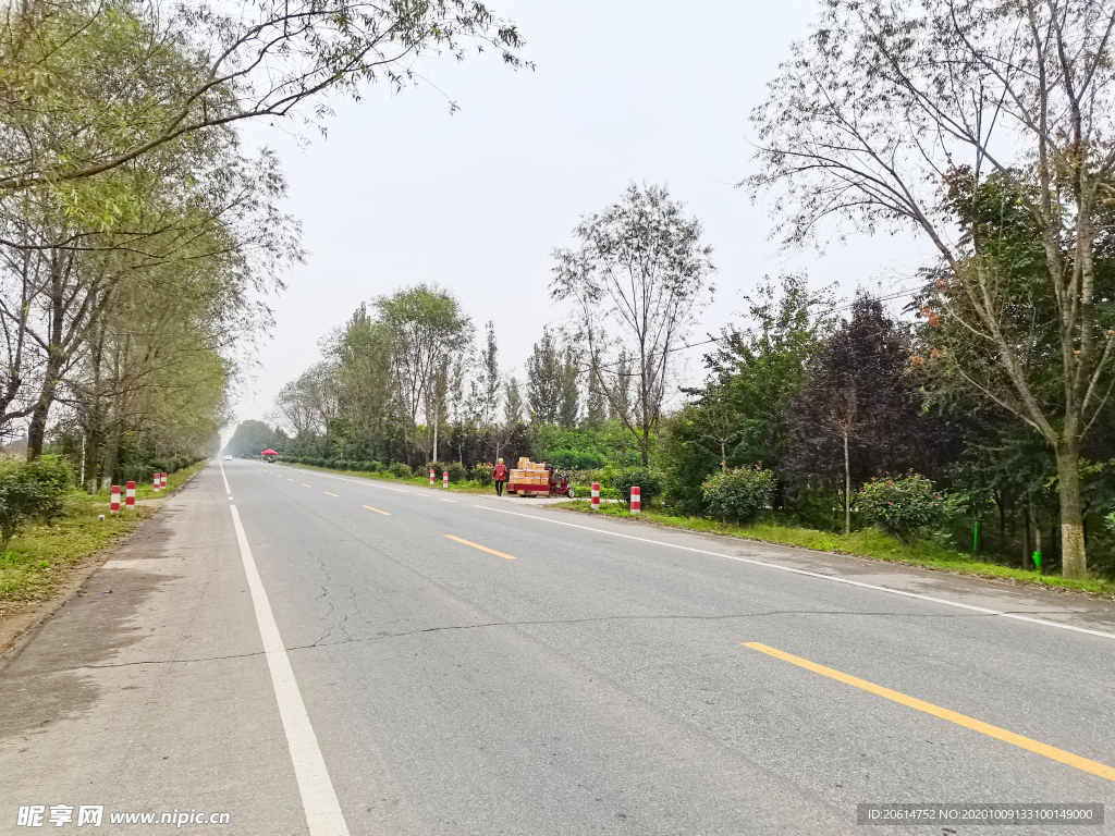 乡村道路风景