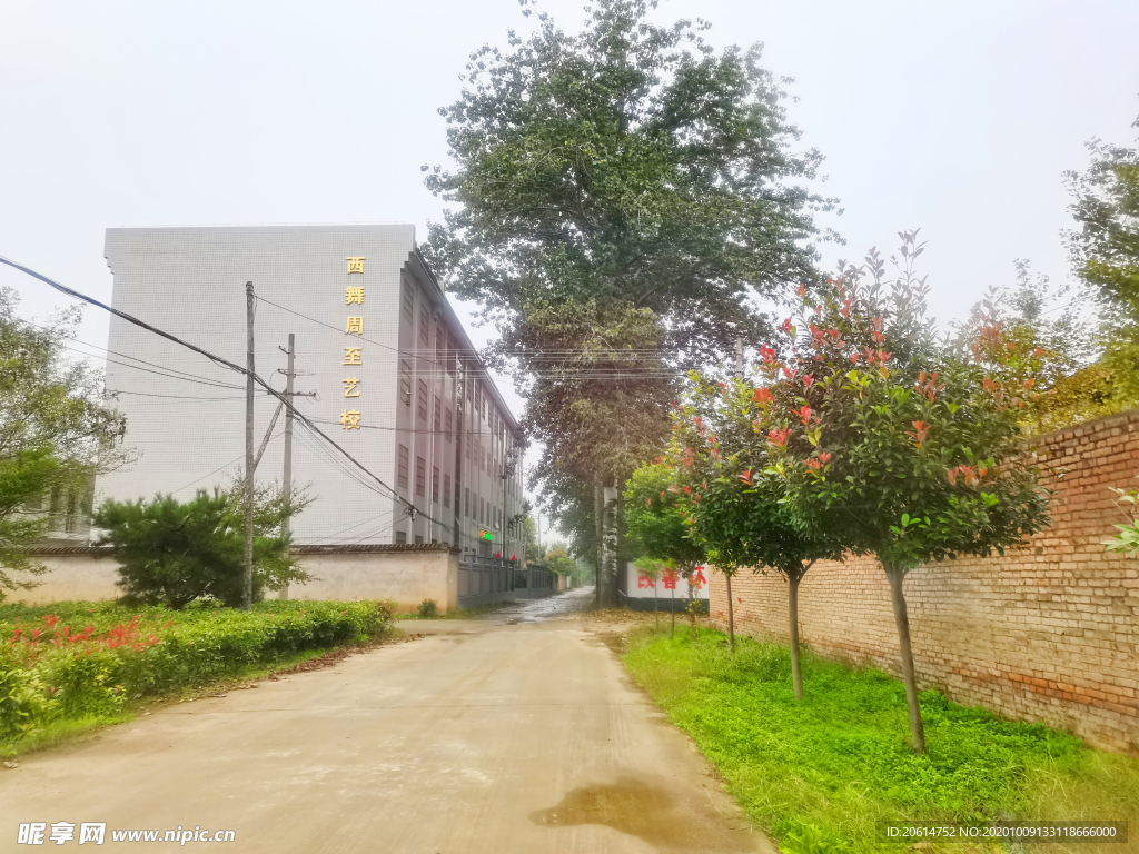 乡村道路风景