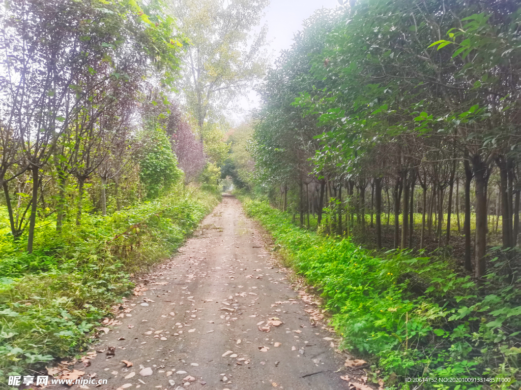 空荡荡的乡村道路风景