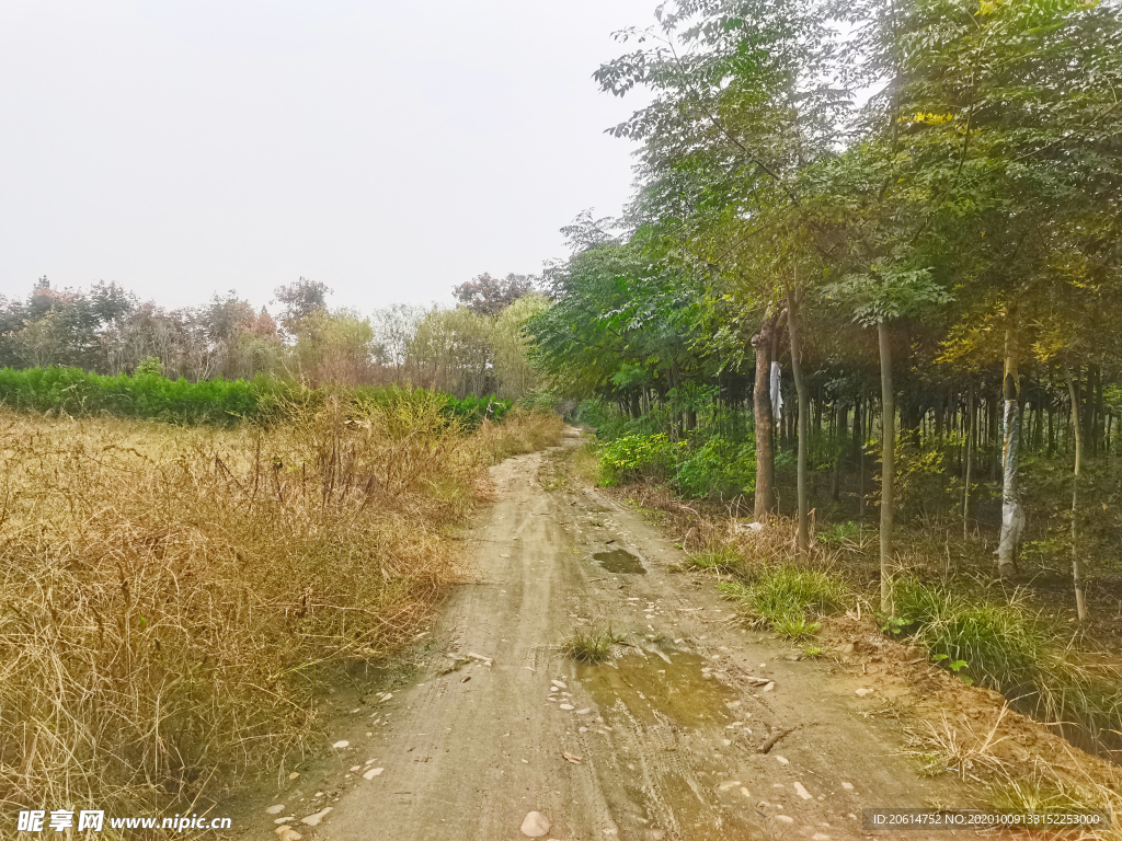 深秋时节的乡村道路风景