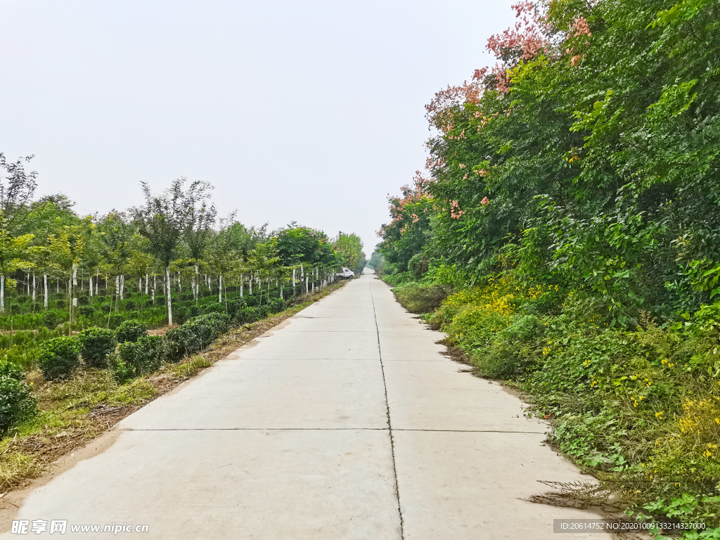 乡村道路风景